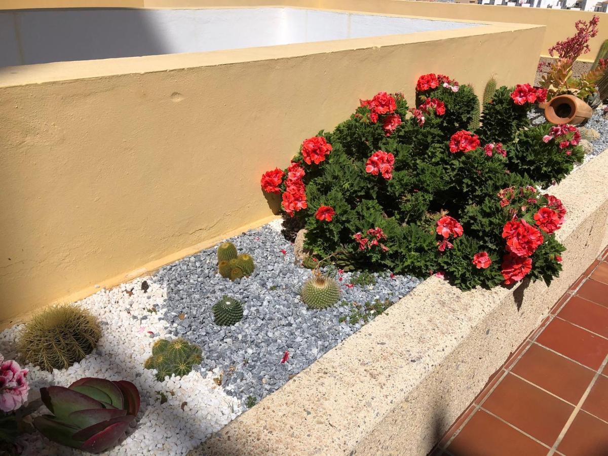 Apartamento Con Impresionantes Vistas Y Piscina Costa Adeje  Exterior foto