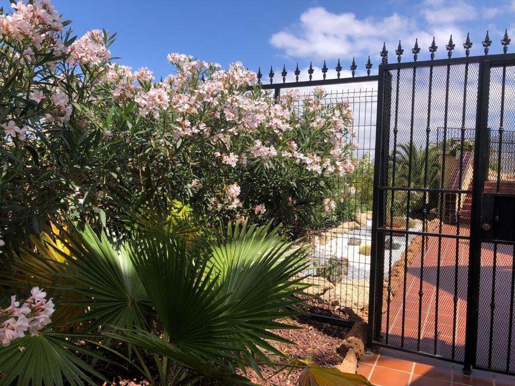 Apartamento Con Impresionantes Vistas Y Piscina Costa Adeje  Exterior foto